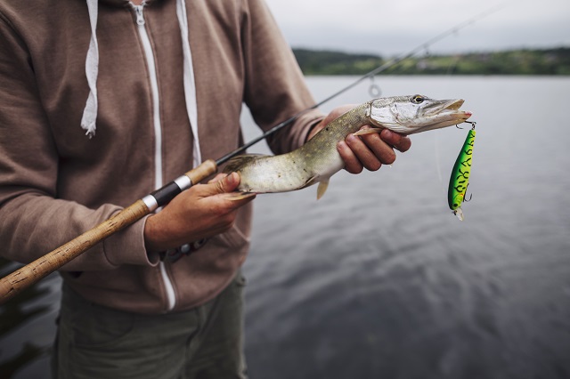 close-up-man-holding-freshly-caught-fish-with-lure